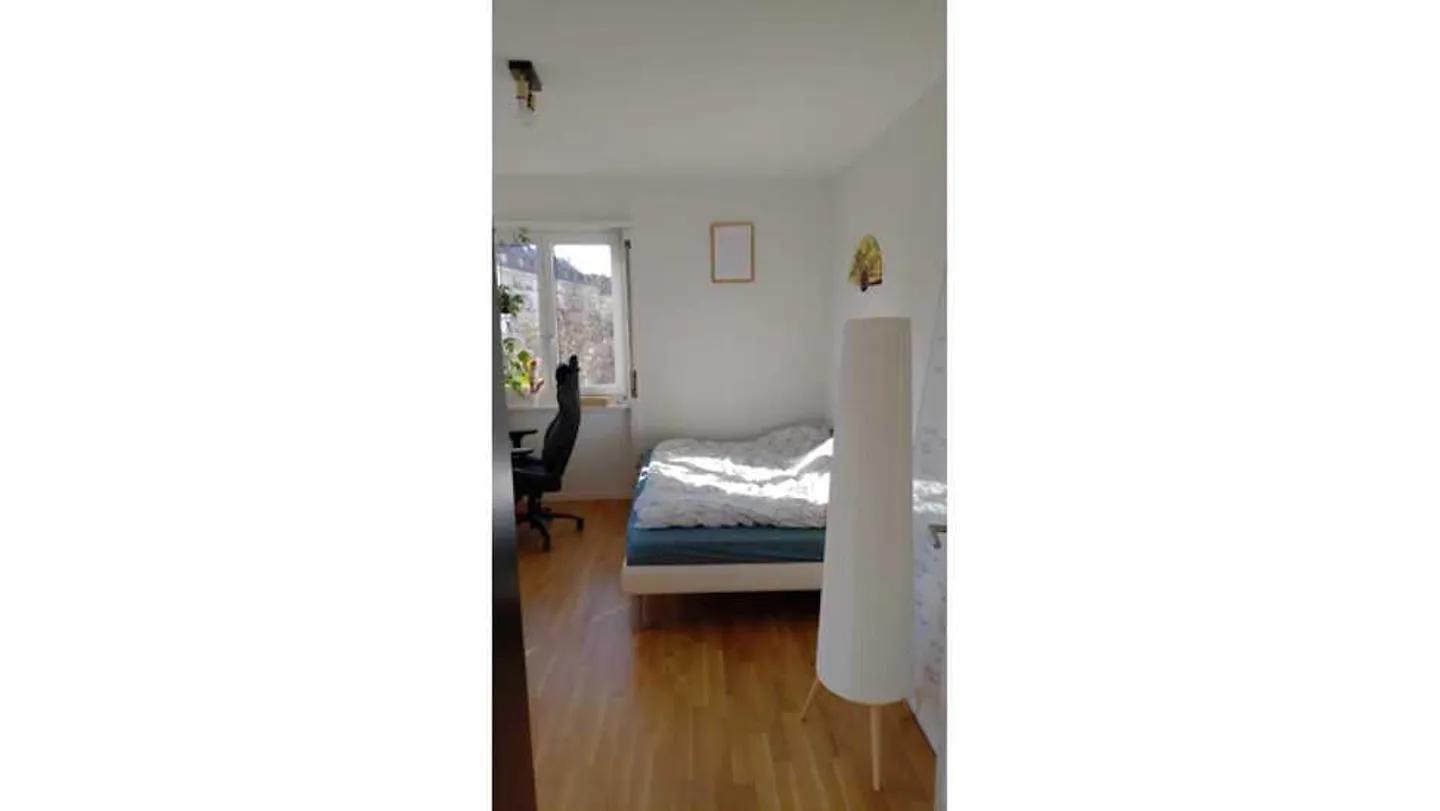 3½ ROOM APARTMENT IN BERN - SPITALACKER, FURNISHED, TEMPORARY - Photo 5 of 10