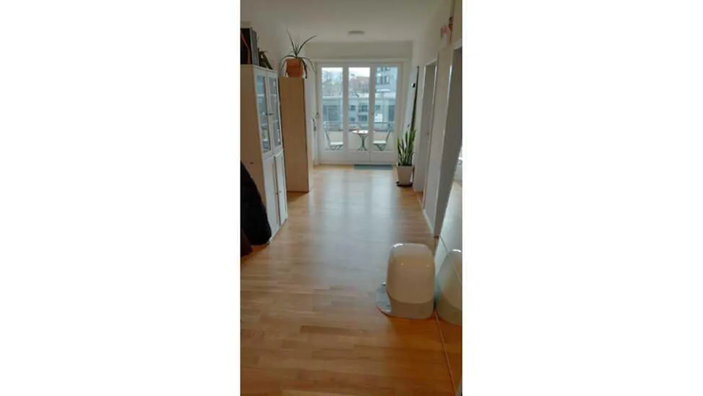 3½ ROOM APARTMENT IN BERN - SPITALACKER, FURNISHED, TEMPORARY - Photo 9 of 10