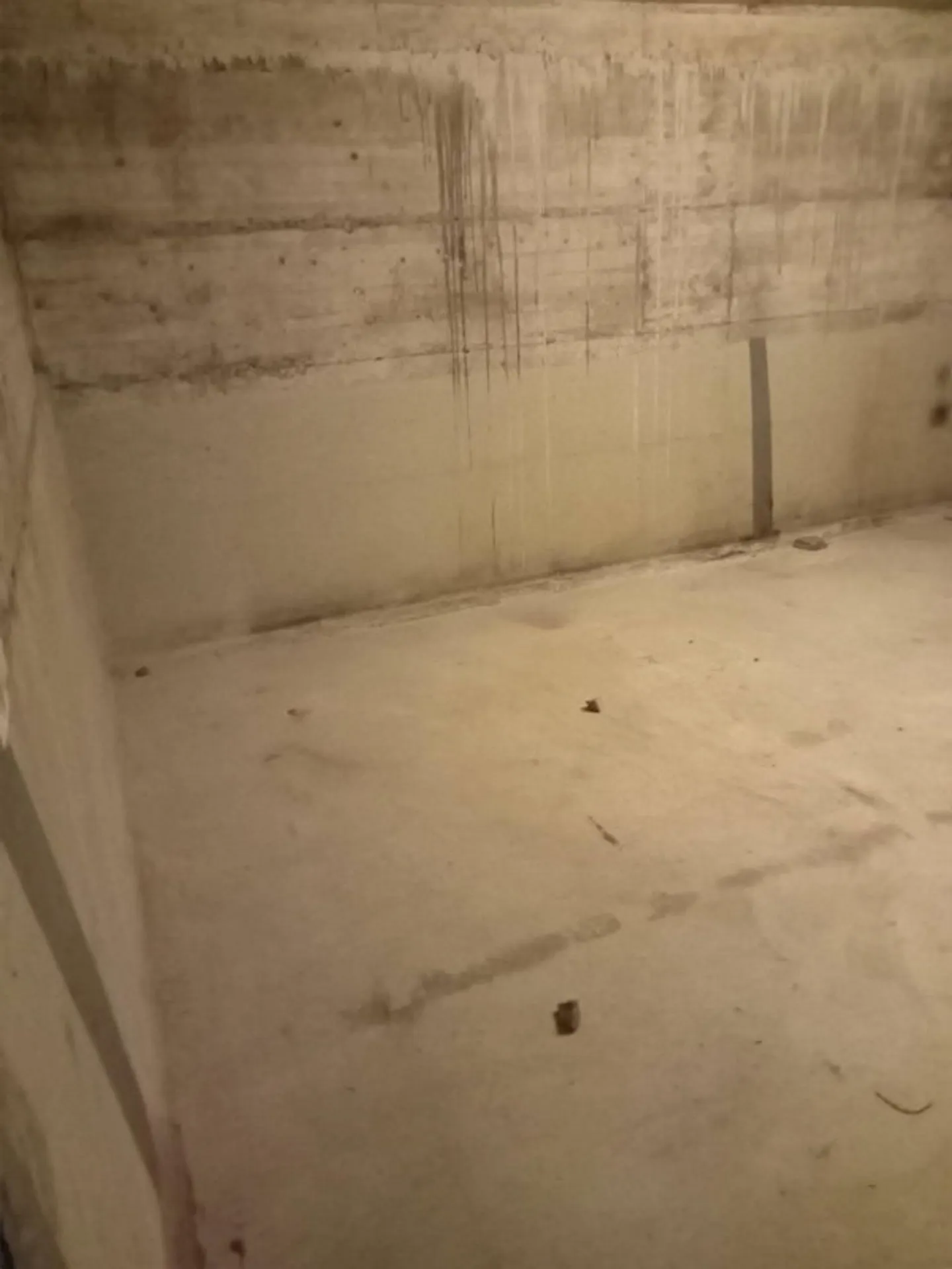 Craft Room/Storage Room in Salmsach - Photo 1 of 1