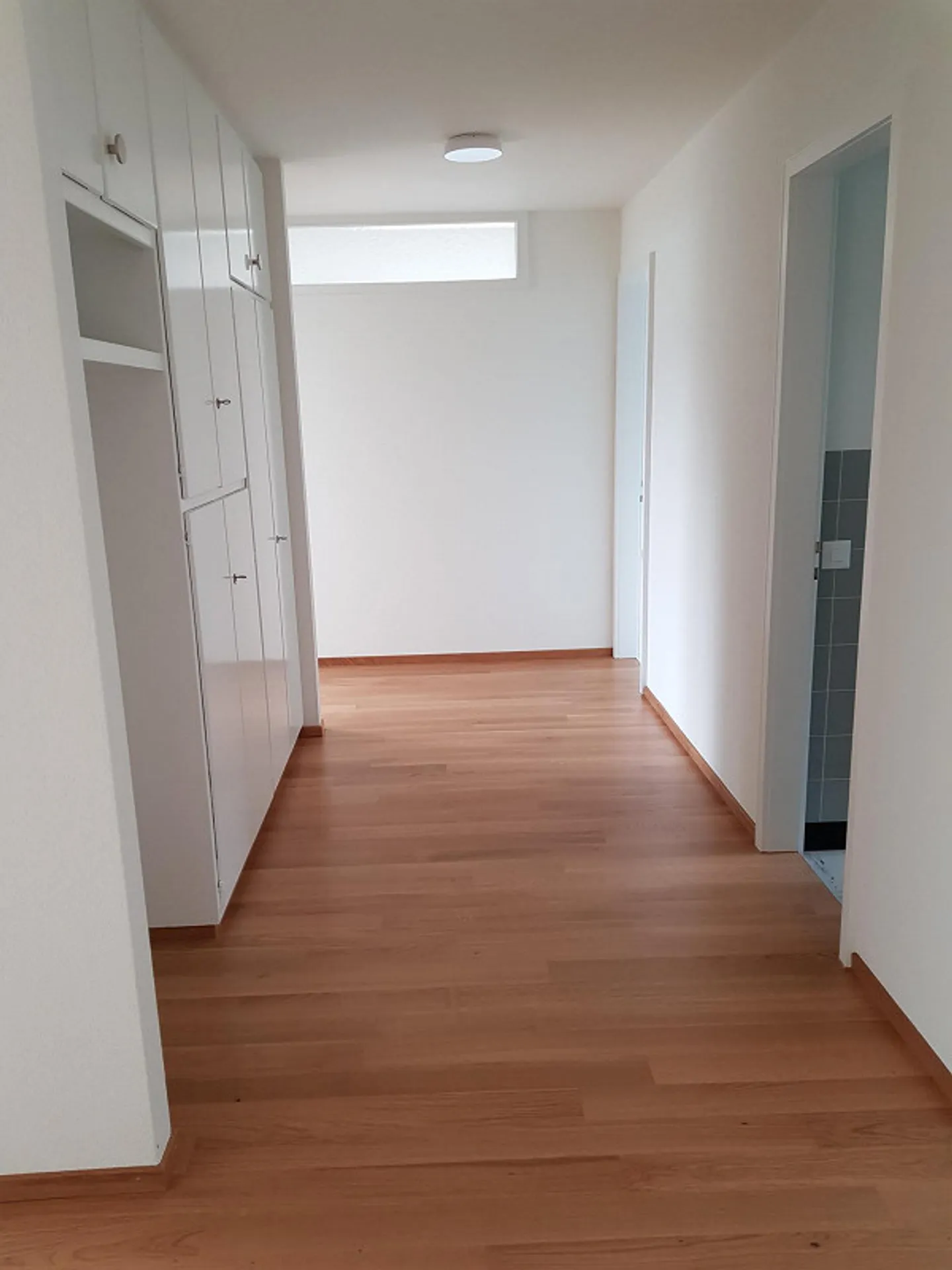 Appartement 4,5 pièces avec vue imprenable sur le lac et les montagnes - Photo 3 sur 14