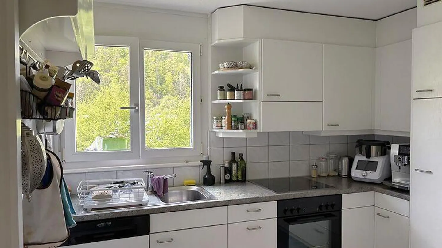 3 ROOM APARTMENT IN BREMGARTEN NEAR BERN (BE), FURNISHED, TEMPORARY - Photo 3 of 7