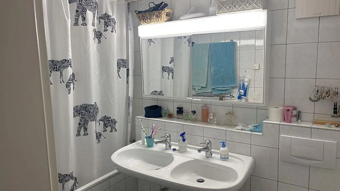 3 ROOM APARTMENT IN BREMGARTEN NEAR BERN (BE), FURNISHED, TEMPORARY - Photo 6 of 7