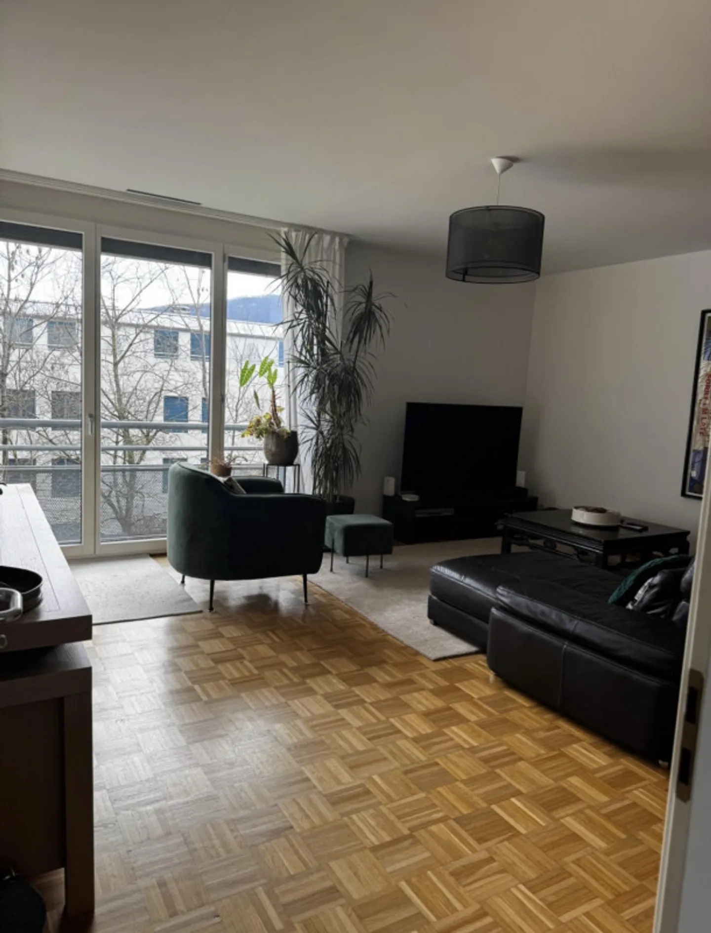 Appartamento di 7 stanze situato a Chêne - Bourg. - Foto 3 di 6