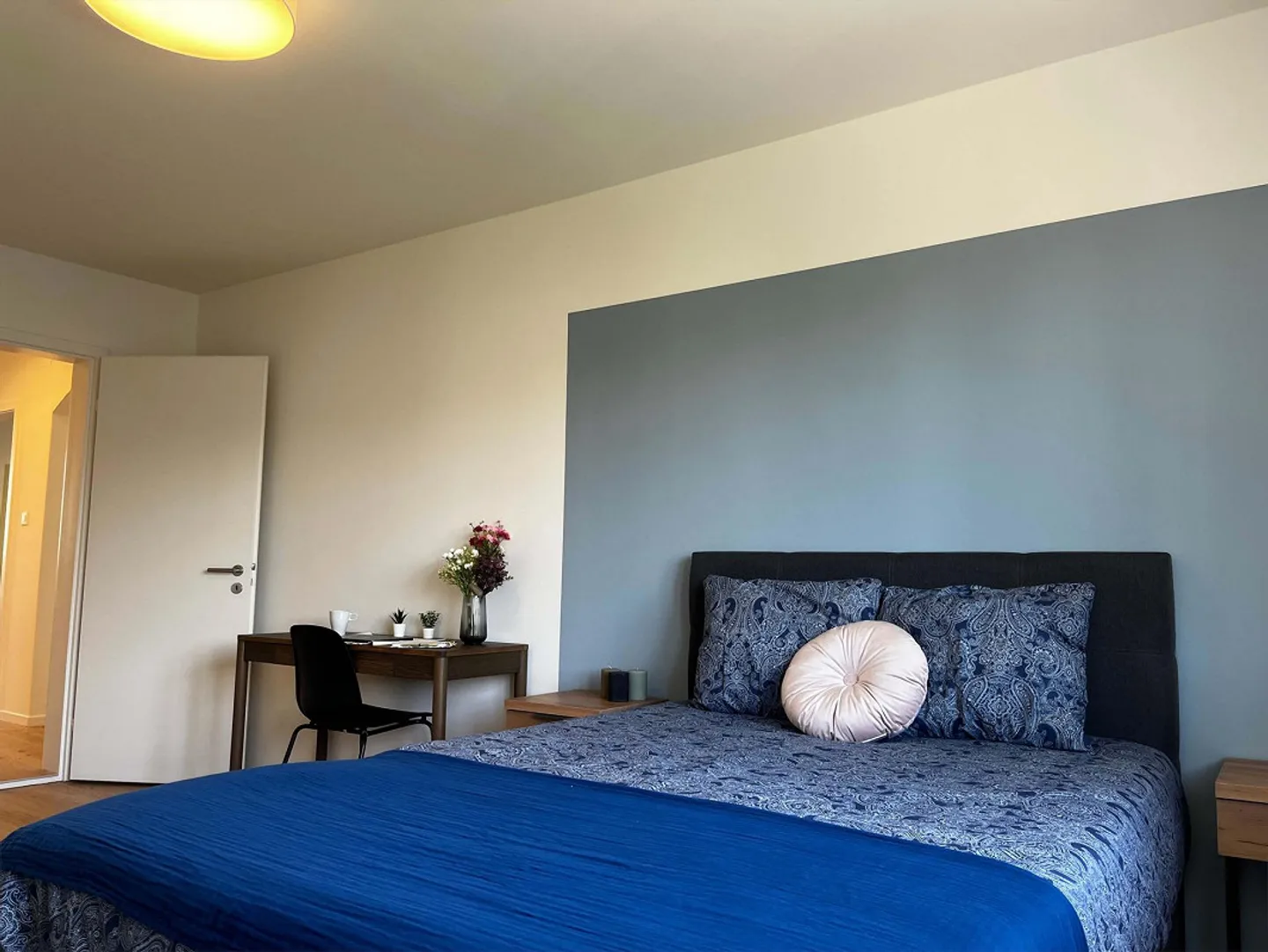 Bright, Renovated Apartment Ideal for Young Professionals - Photo 1 of 25