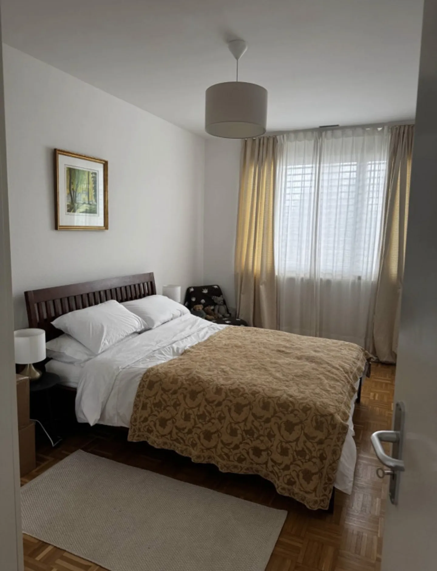 Appartamento di 7 stanze situato a Chêne - Bourg. - Foto 4 di 6