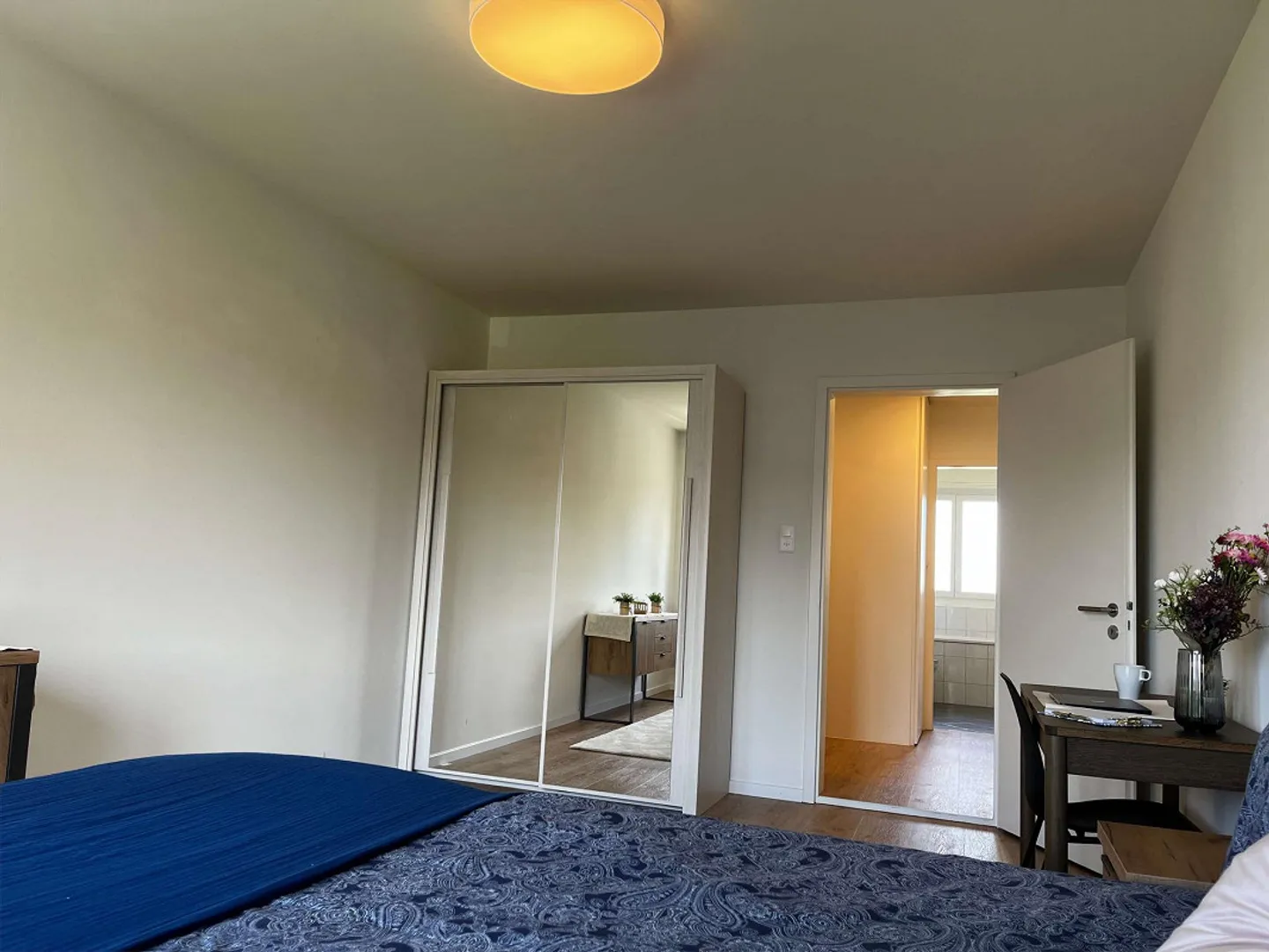 Bright, Renovated Apartment Ideal for Young Professionals - Photo 8 of 25