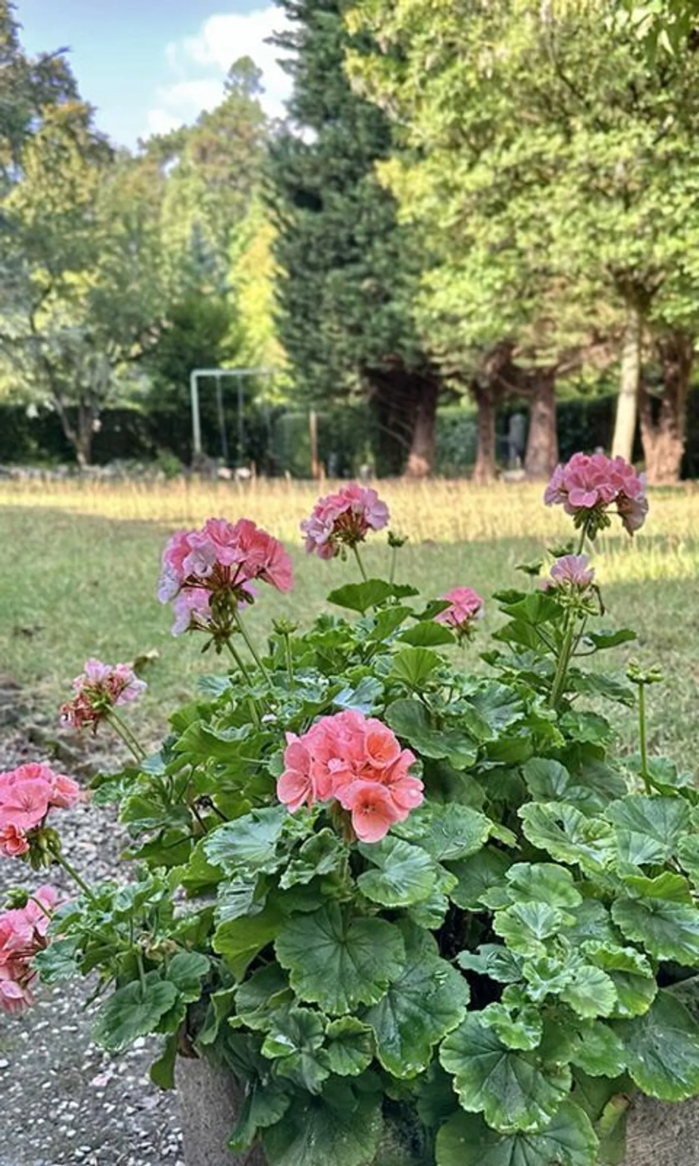 Incantevole appartamento arredato su una proprietà privata - Foto 32 di 40