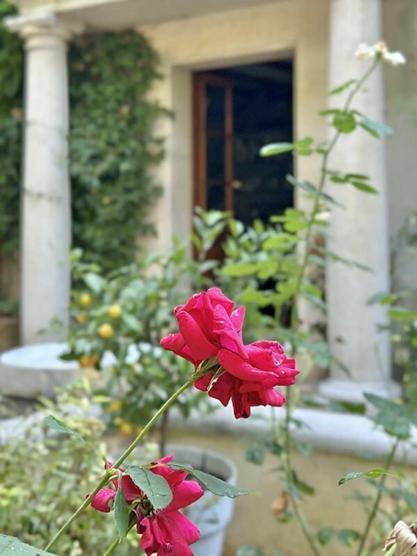 Incantevole appartamento arredato su una proprietà privata - Foto 38 di 40