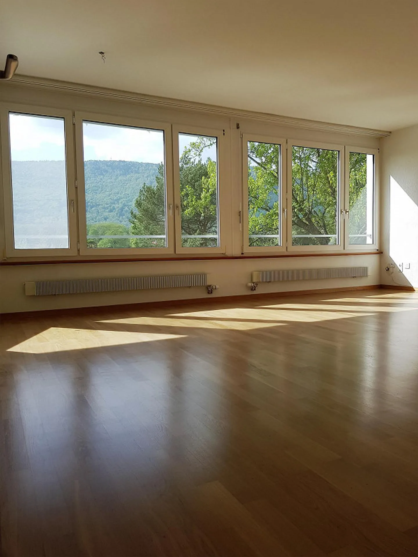 Helle Wohnung mit Jura-Blick - Foto 1 von 8