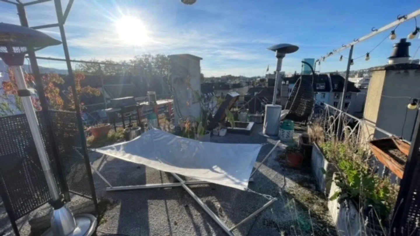 Beautiful 3.5 Room Apartment - Photo 6 of 10