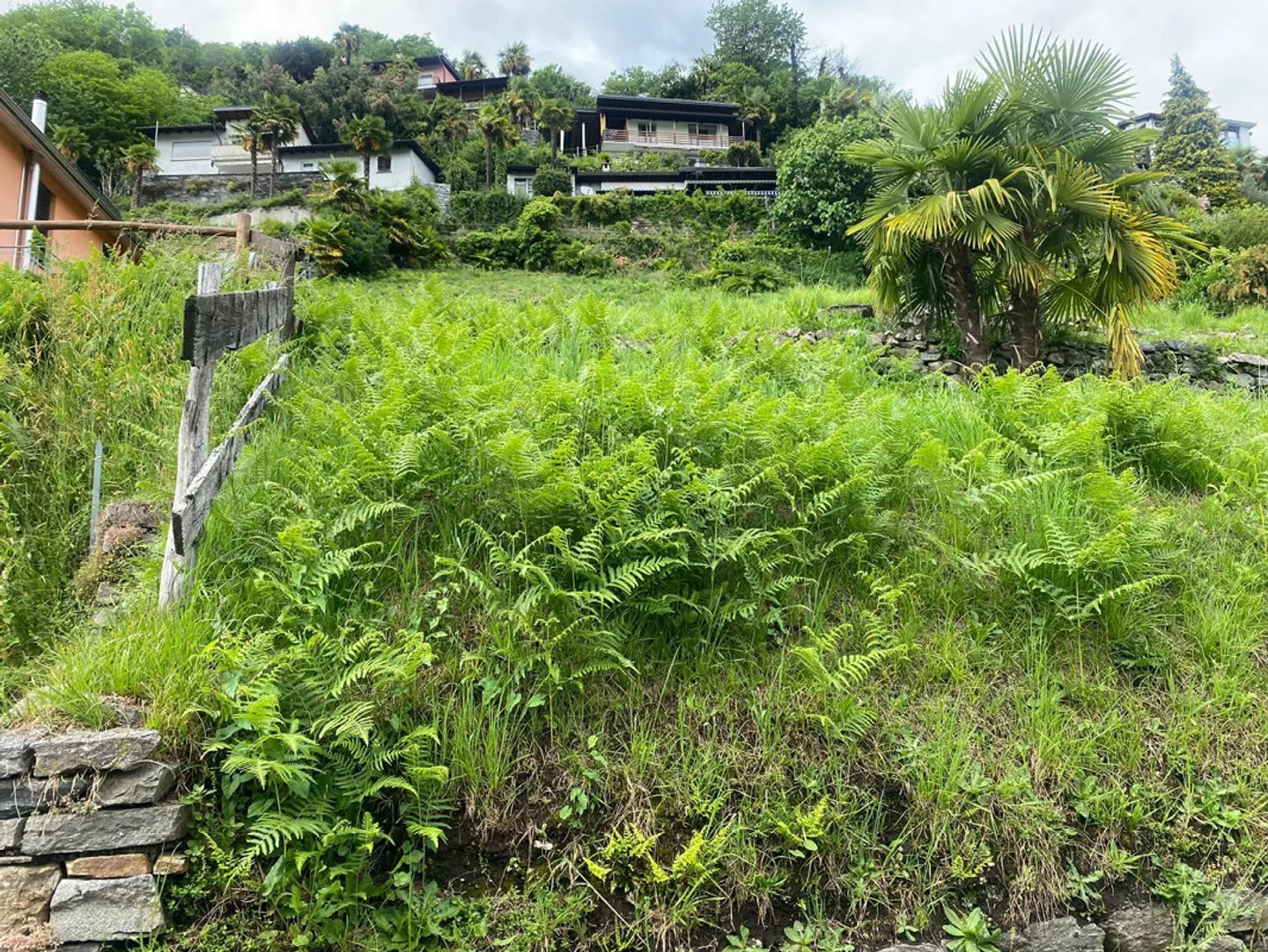 «Baulandgrundstück lvon 1100 m2 Fläche in Zone R2 mit Seeblick /Terreno edificabile di 1100 m2 in Zona R 2 con vista lago» - Foto 3 di 13