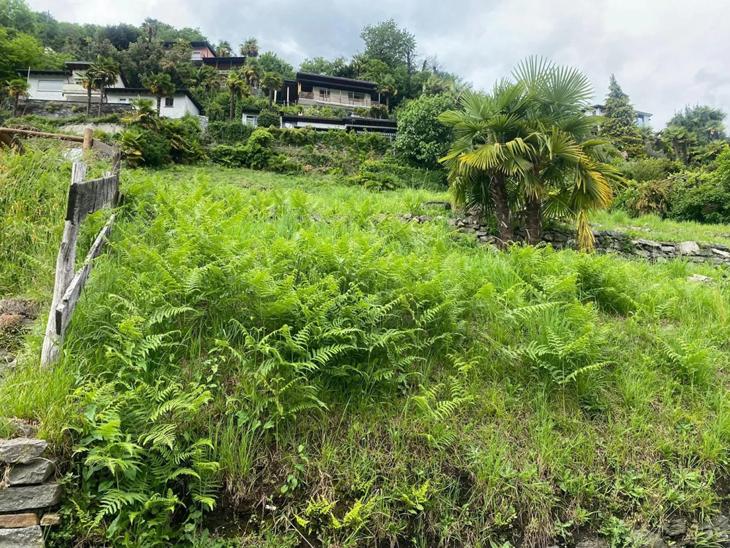 «Baulandgrundstück lvon 1100 m2 Fläche in Zone R2 mit Seeblick /Terreno edificabile di 1100 m2 in Zona R 2 con vista lago» - Foto 4 di 13