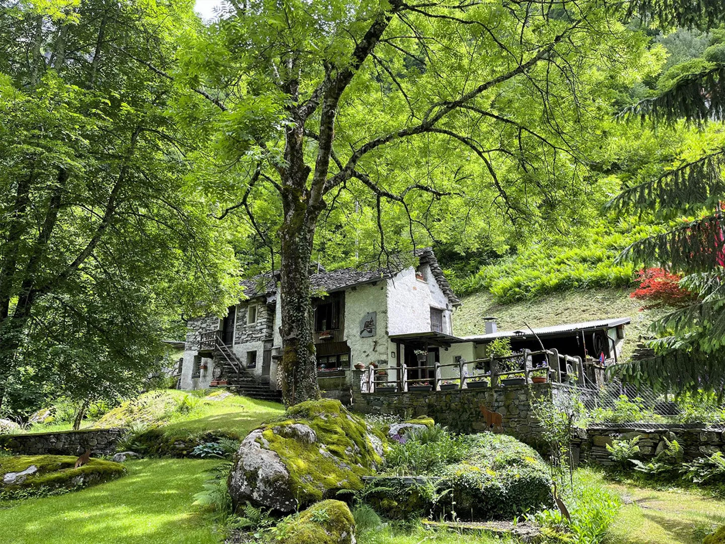 Originaux rustiques immergés dans le vert - Photo 1 sur 13