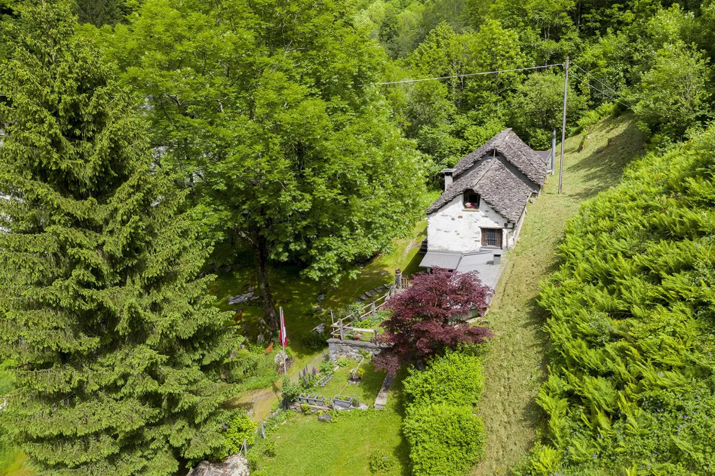 Originaux rustiques immergés dans le vert - Photo 2 sur 13
