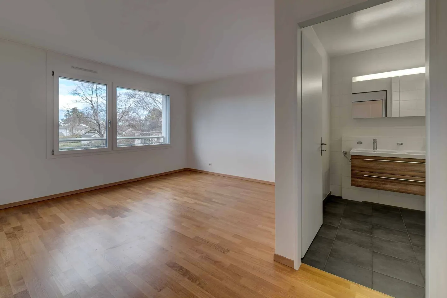 Appartamento spazioso a Collonge-Bellerive - Foto 9 di 11