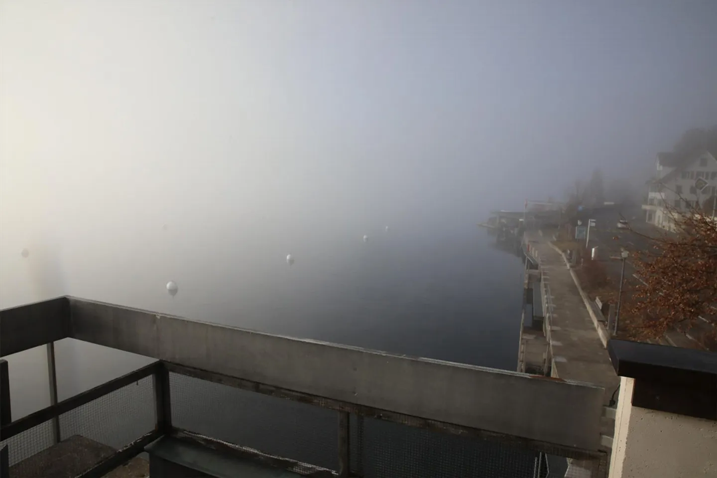 UN ESTATE DIRETTAMENTE AL LAGO - TEMPORANEA - Appartamento 4,5 stanze - Foto 1 di 15