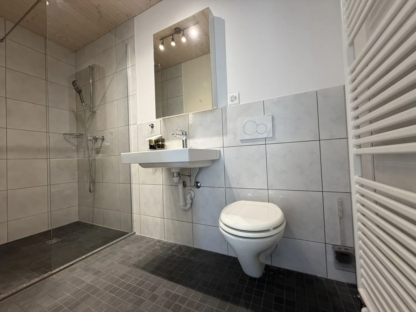 Appartement sous les combles lumineux de 3,5 pièces - Photo 13 sur 16