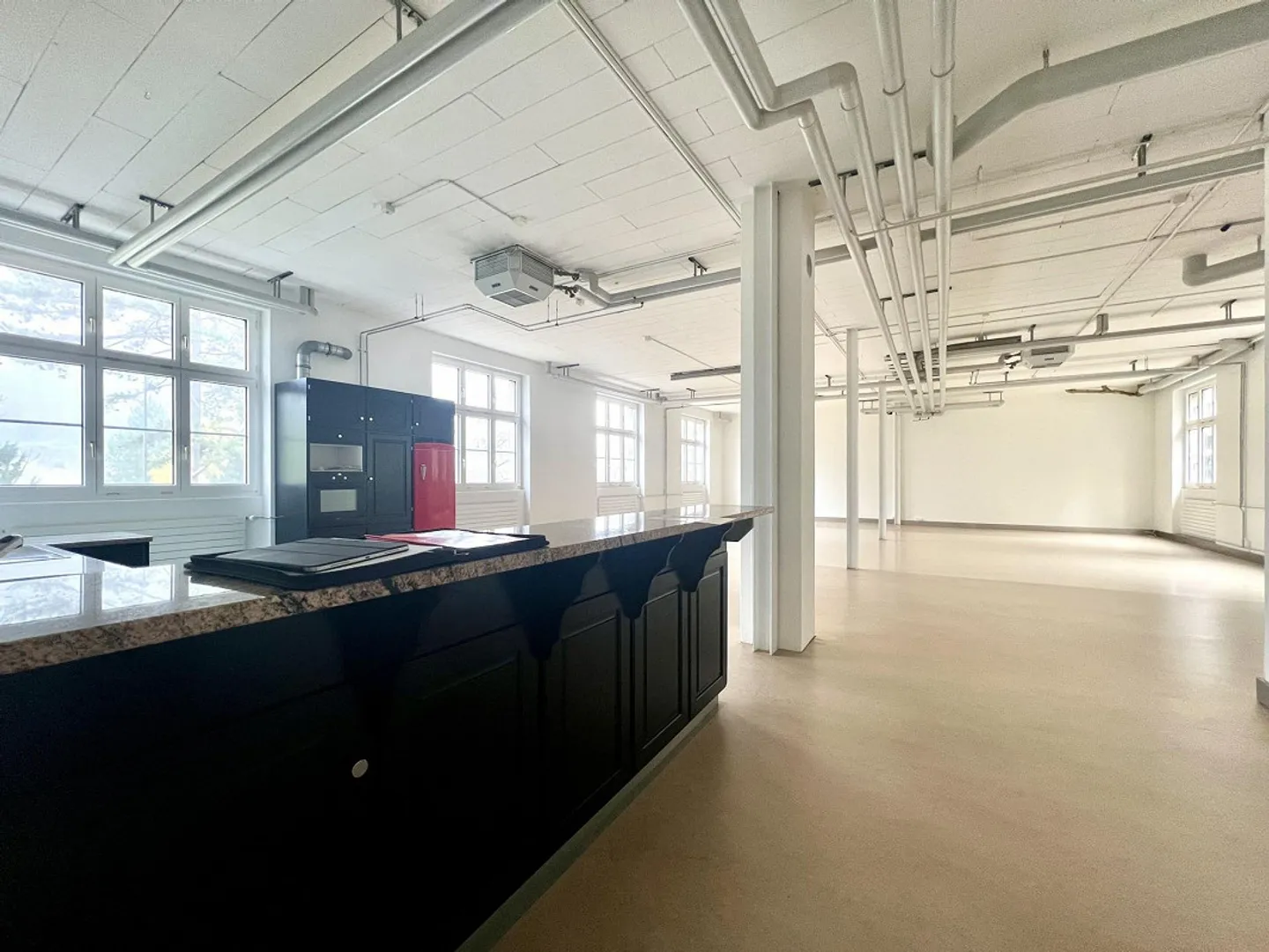 Grüsszügiges Loft im Urban Style - Foto 2 von 7