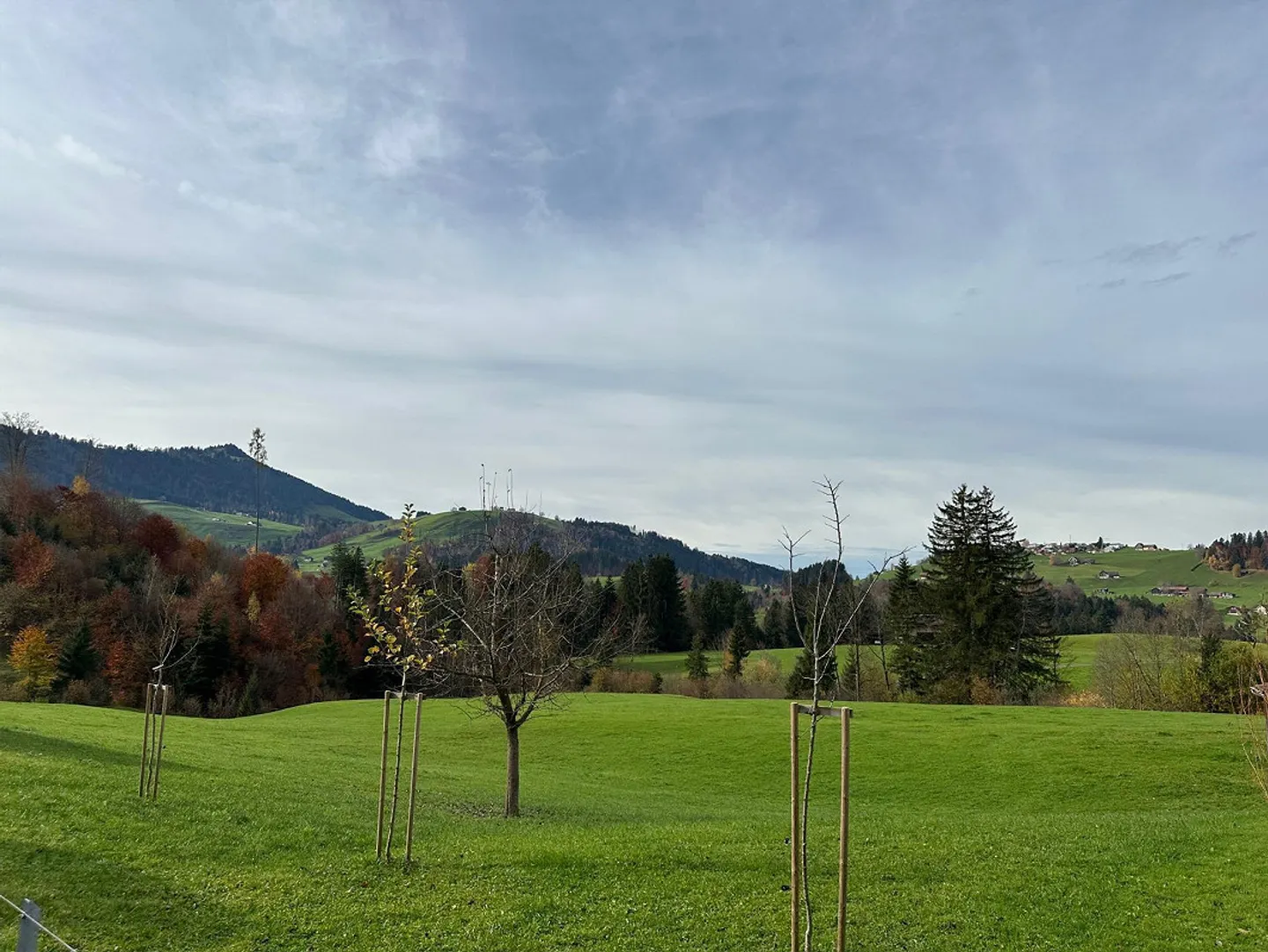 First occupancy large 2.5 / 3.5 / 4.5 room apartments - Photo 8 of 16