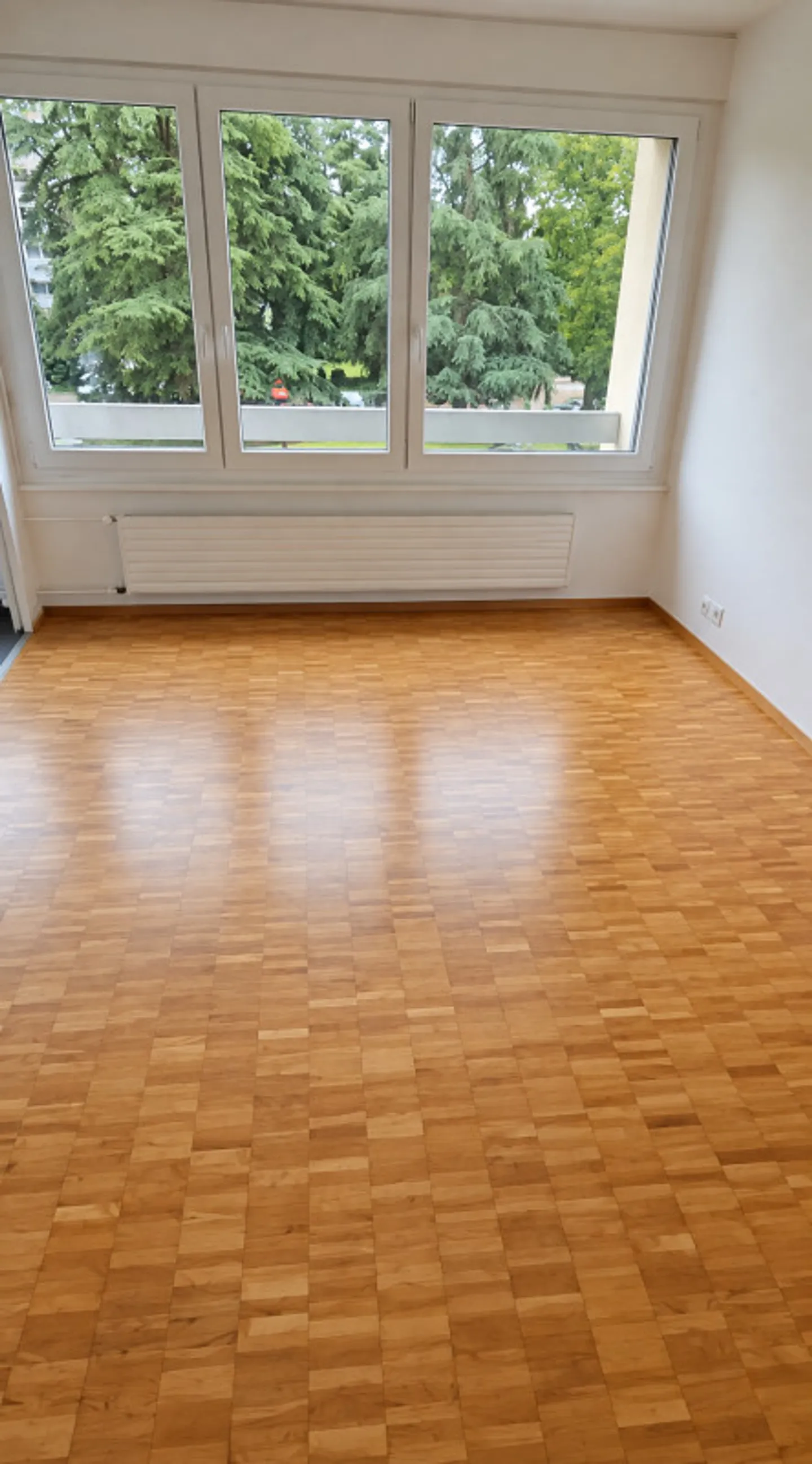 BEAUTIFUL 4-ROOM APARTMENT IN MEYRIN - Photo 1 of 7