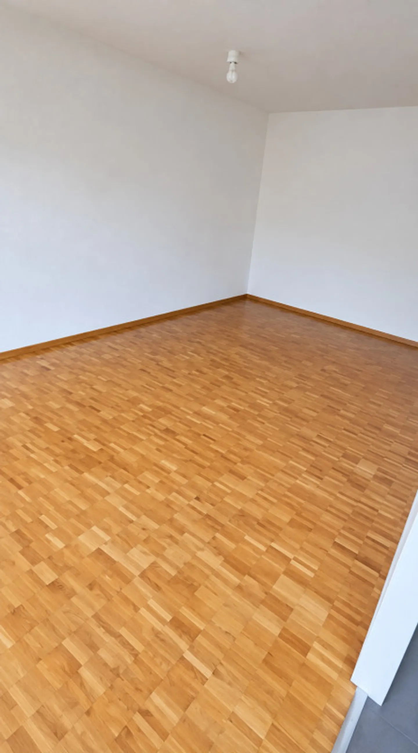 BEAUTIFUL 4-ROOM APARTMENT IN MEYRIN - Photo 2 of 7