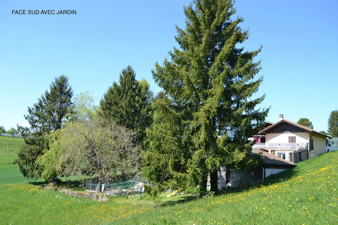 Maison individuelle 3.5 pièces avec jardin -Location temporaire 1 an - Foto 10 von 13