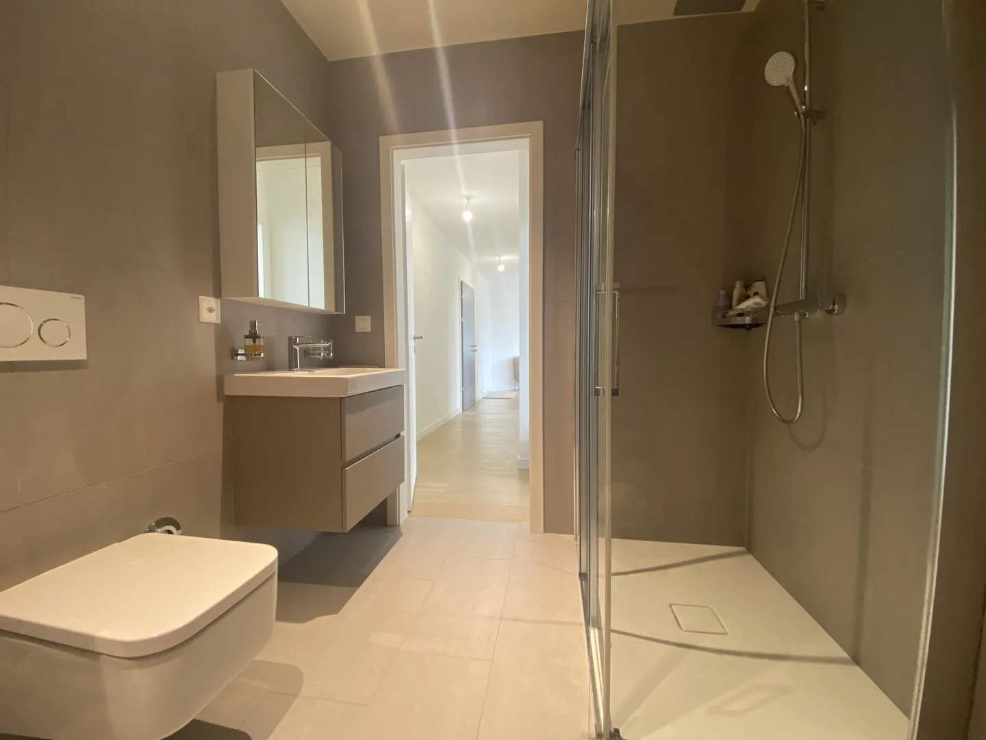 Superbe Attique avec Vue Jura - Photo 10 sur 11