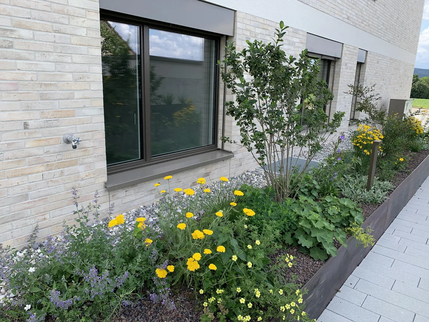 Living in Lindengarten - Photo 5 of 12