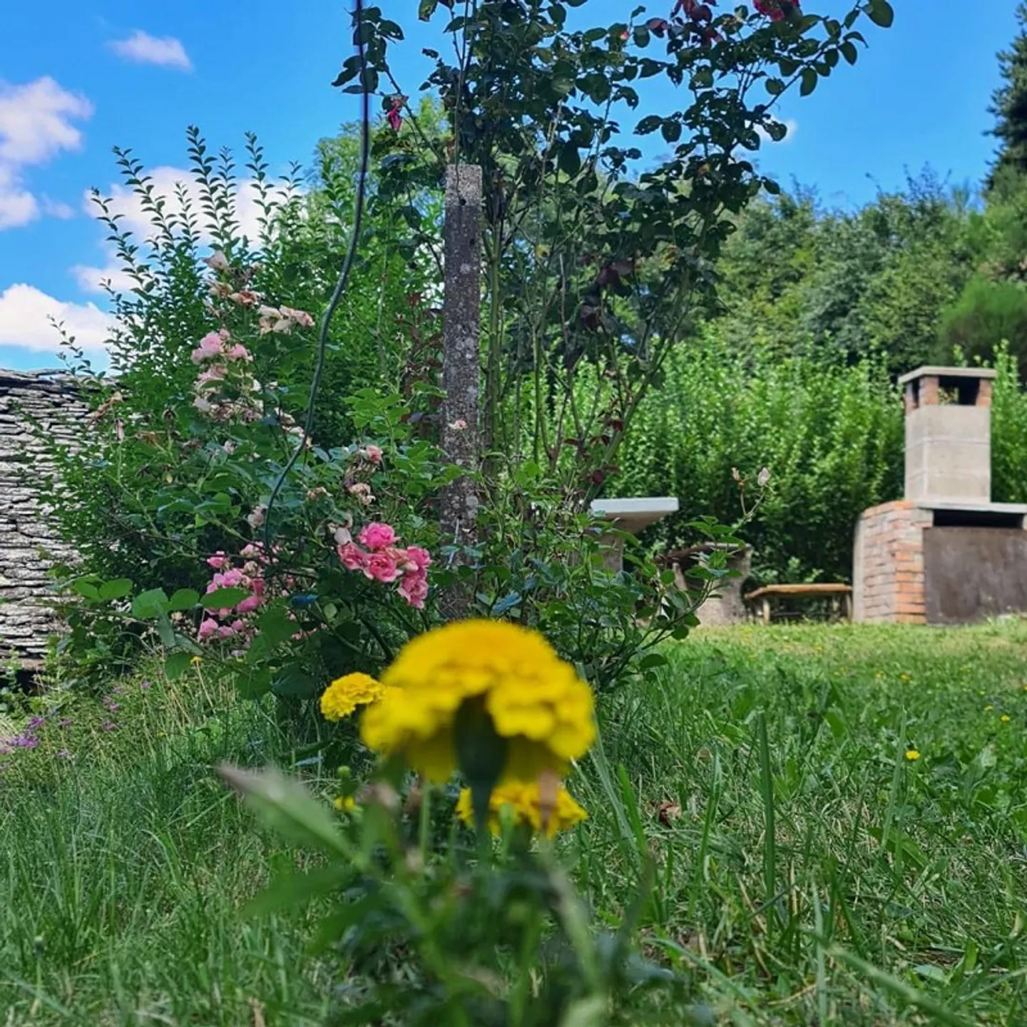4-Room Chalet with 2 Room Apartment, Garden, Very Quiet... - Photo 23 of 35