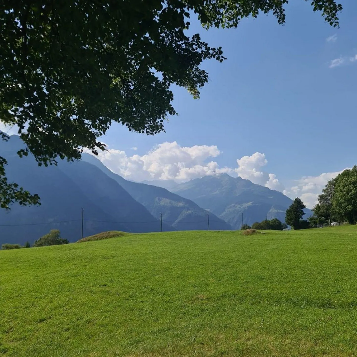 4-Room Chalet with 2 Room Apartment, Garden, Very Quiet... - Photo 27 of 35