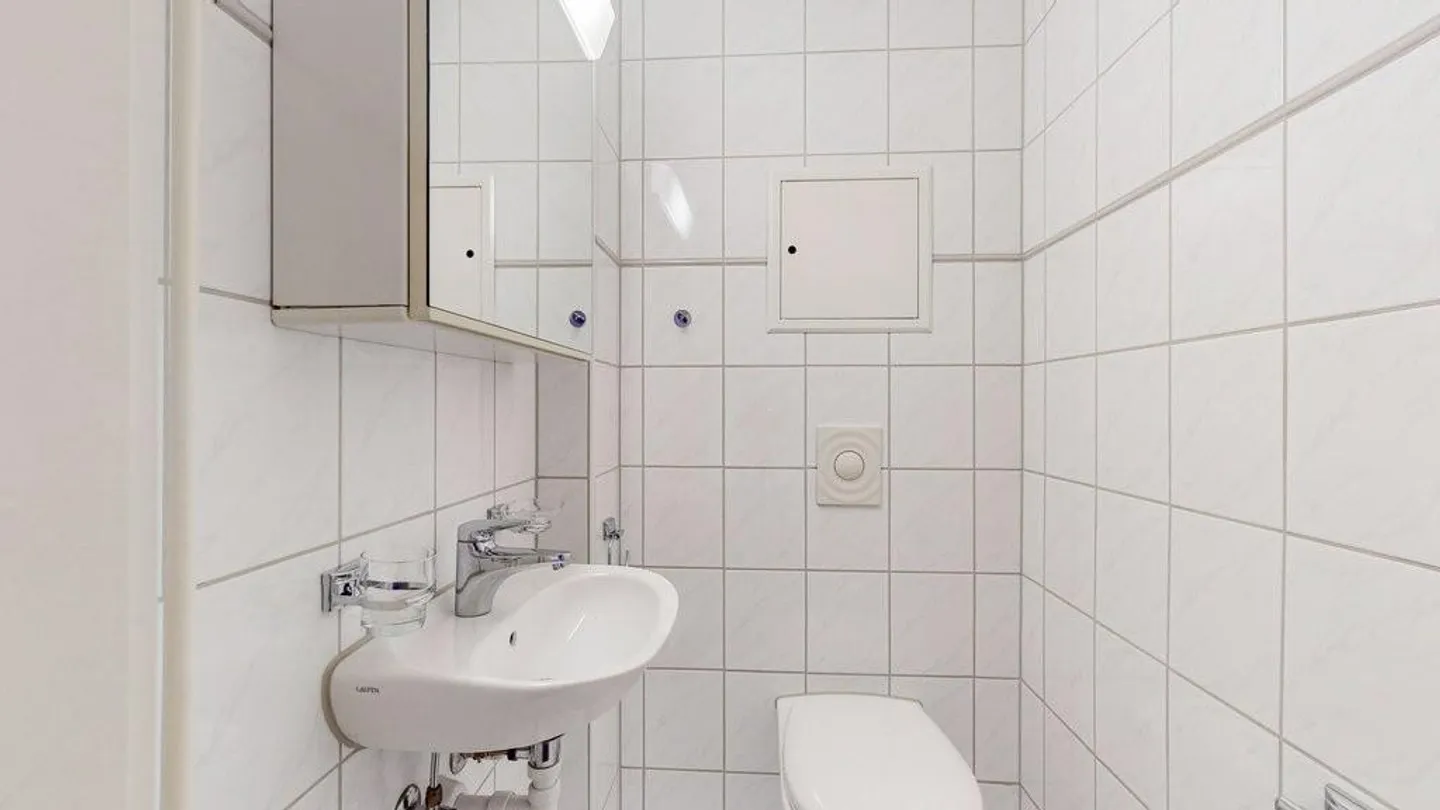 Vivere centralmente a Binningen vicino alla città - Foto 6 di 11