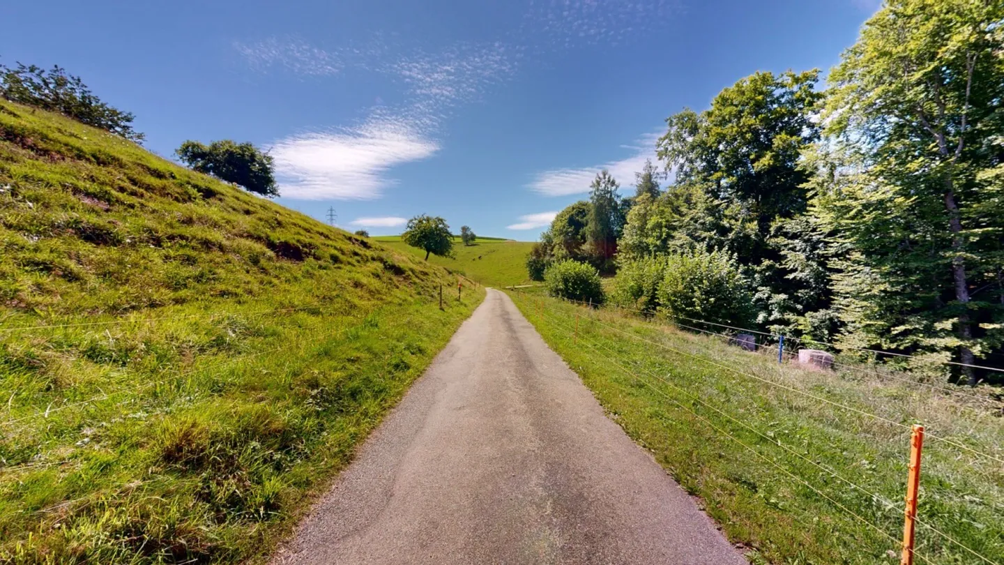 Fattoria in affitto - Foto 15 di 15