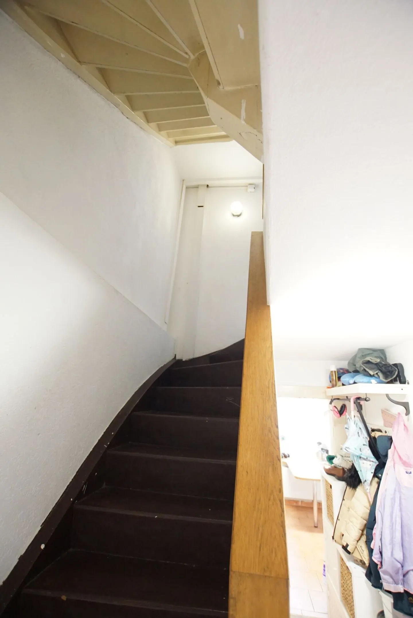 Family Paradise with Great Potential! - Photo 14 of 23