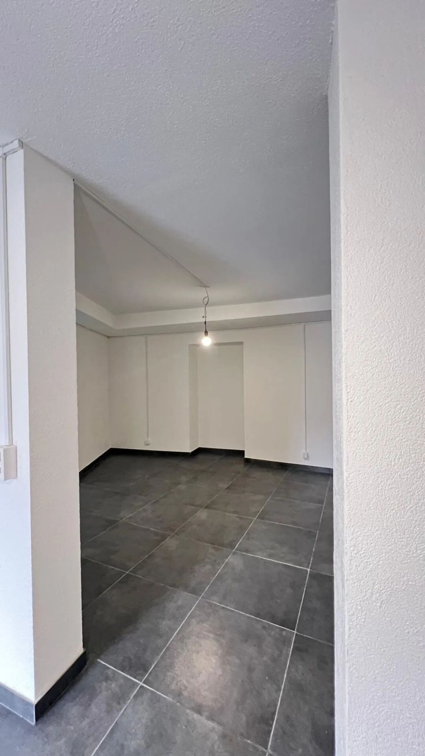 Spazio commerciale di alta qualità a Sciaffusa - Foto 8 di 11