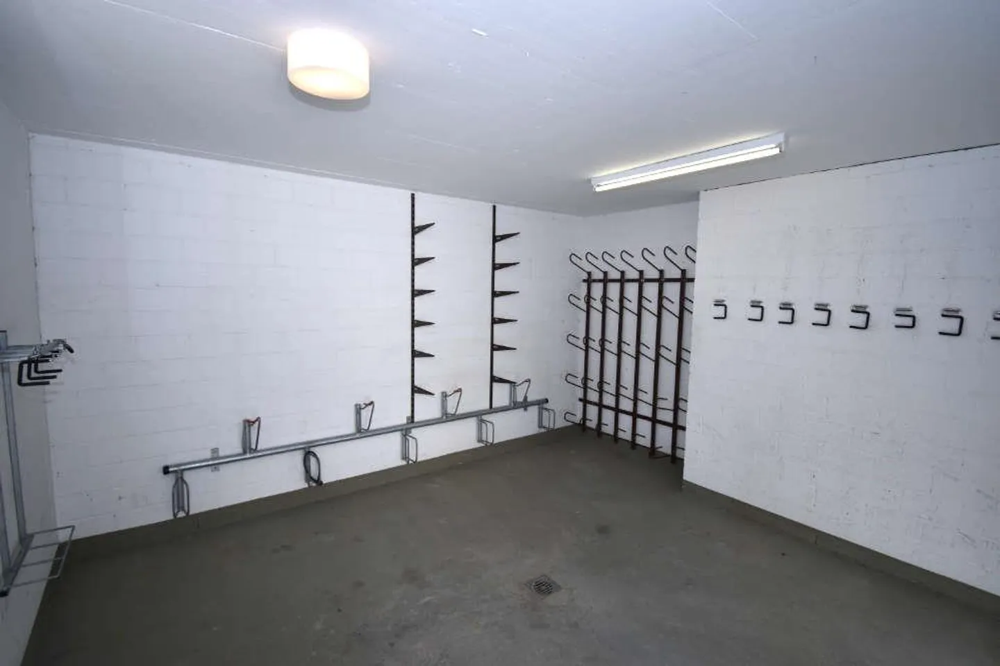 Holiday Studio for Sports Enthusiasts - Photo 7 of 11