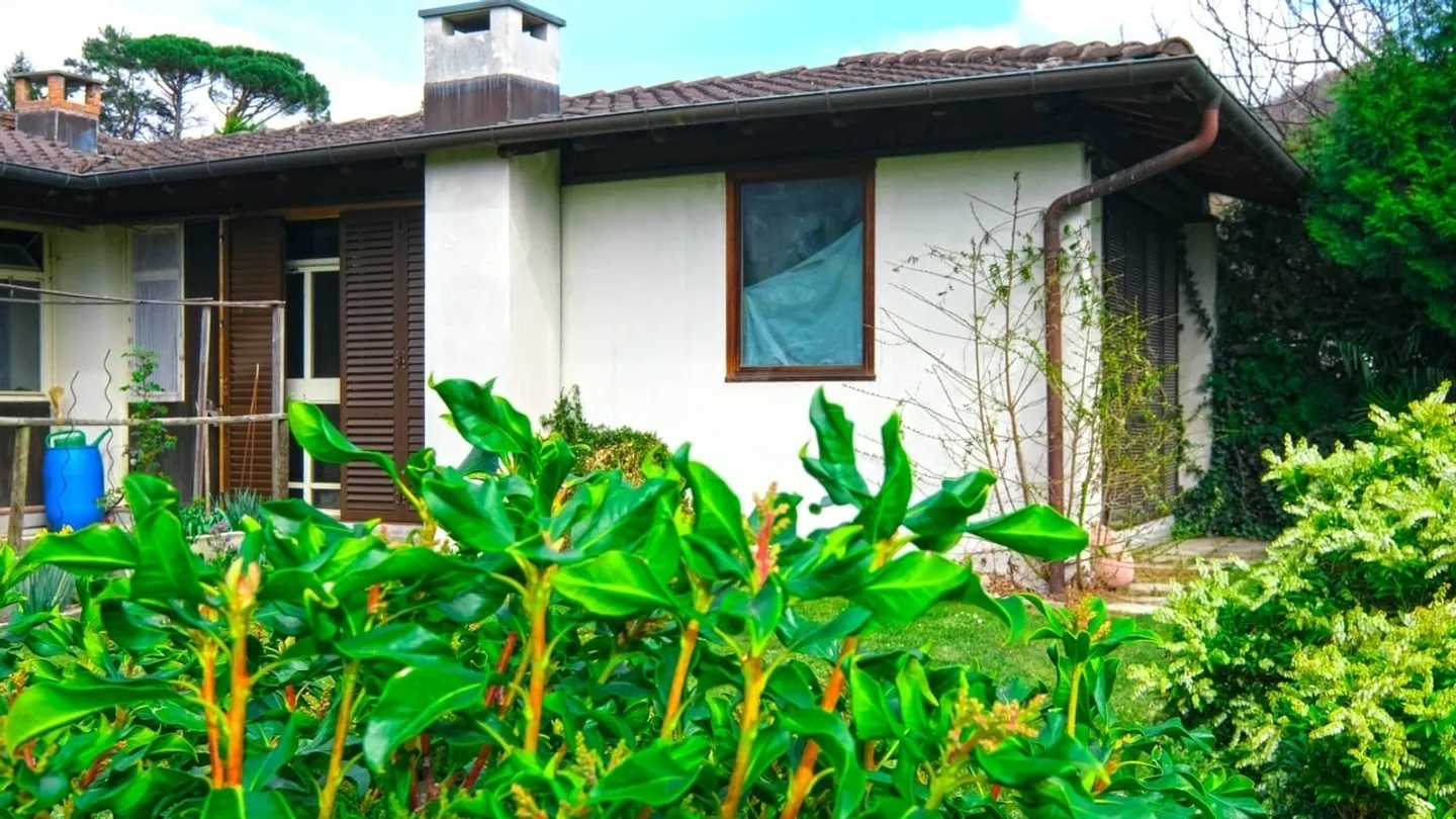 Building Plot in Origlio - Photo 9 of 10