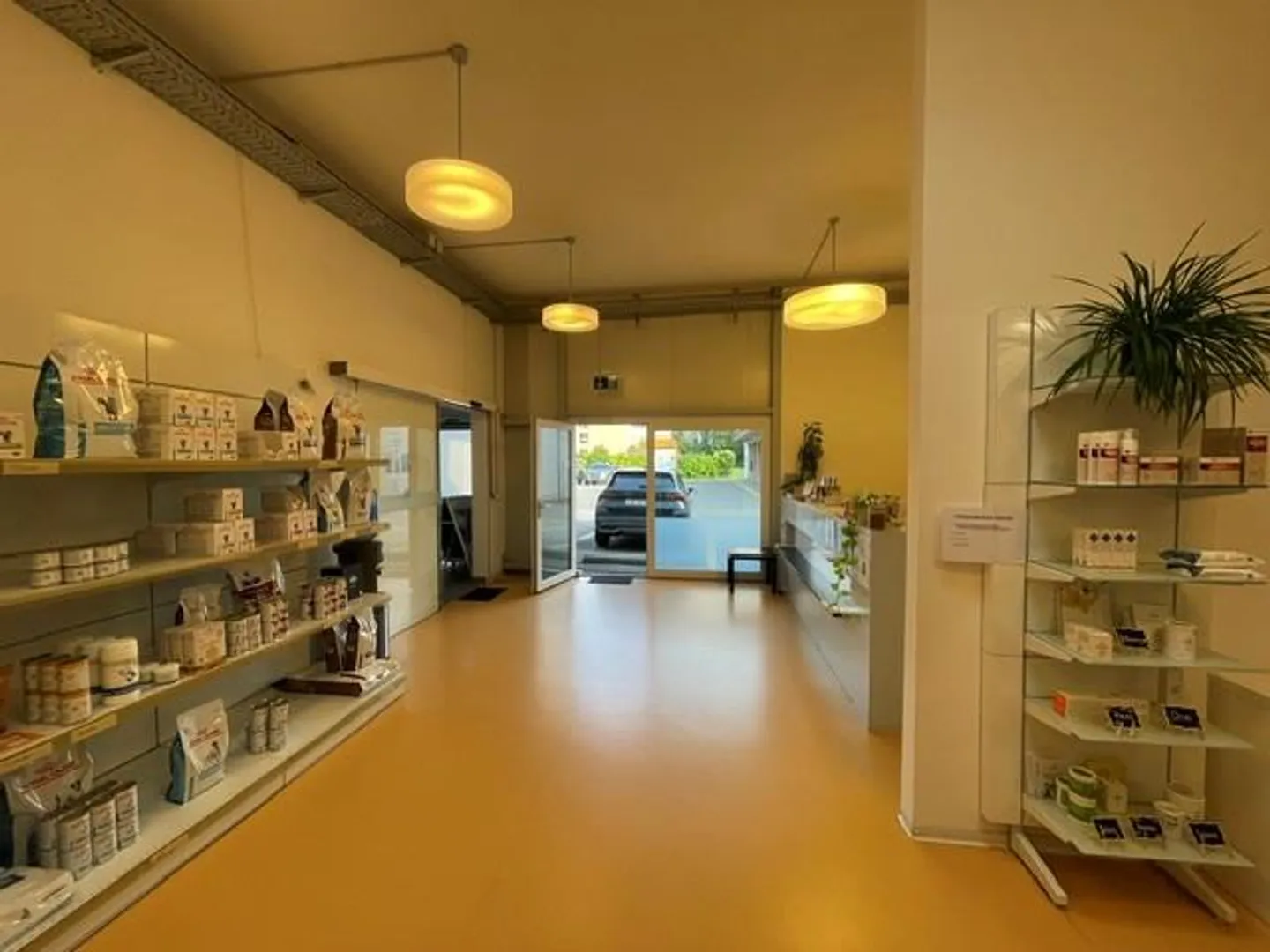 Geräumige Praxisräume in Maienfeld - Foto 1 von 11