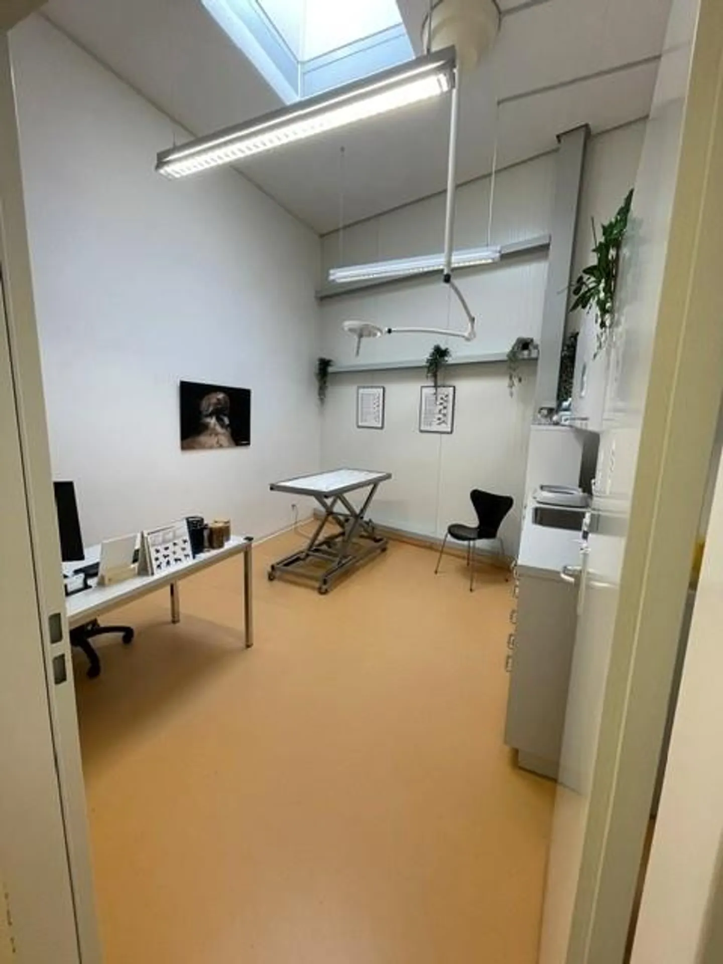 Geräumige Praxisräume in Maienfeld - Foto 3 von 11