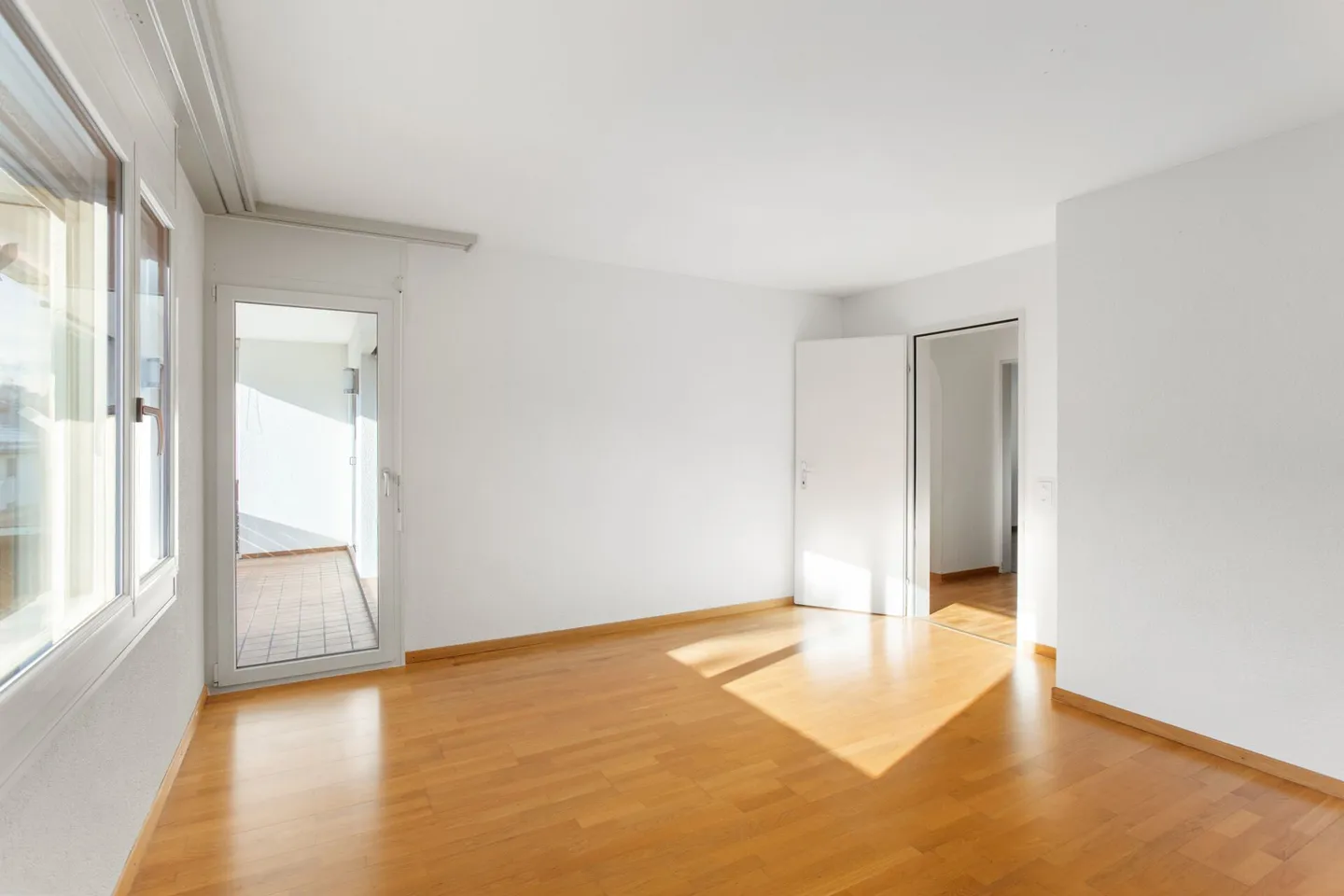 Sunny Times! - Photo 9 of 15