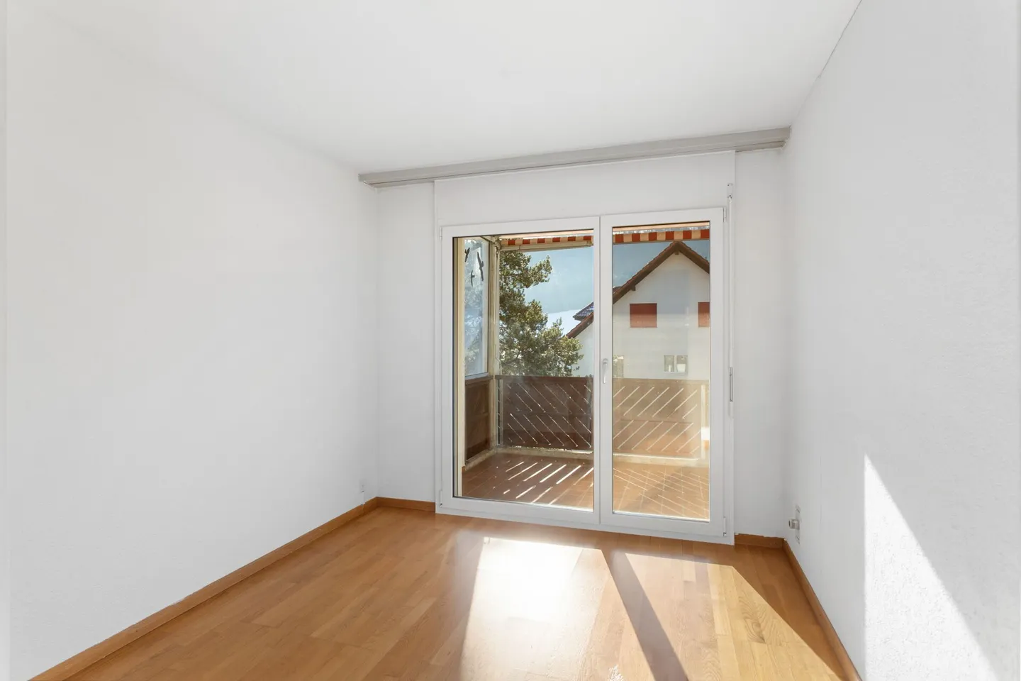 Sunny Times! - Photo 7 of 15