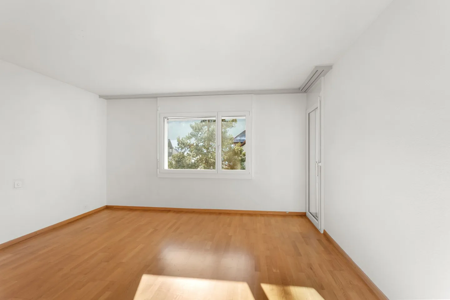 Sunny Times! - Photo 8 of 15