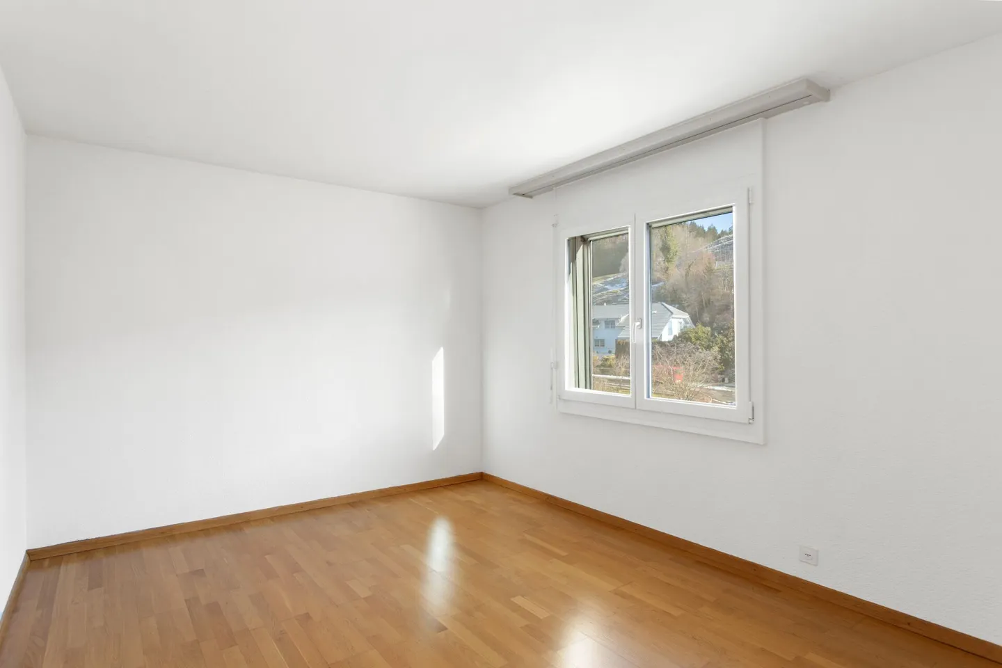 Sunny Times! - Photo 11 of 15