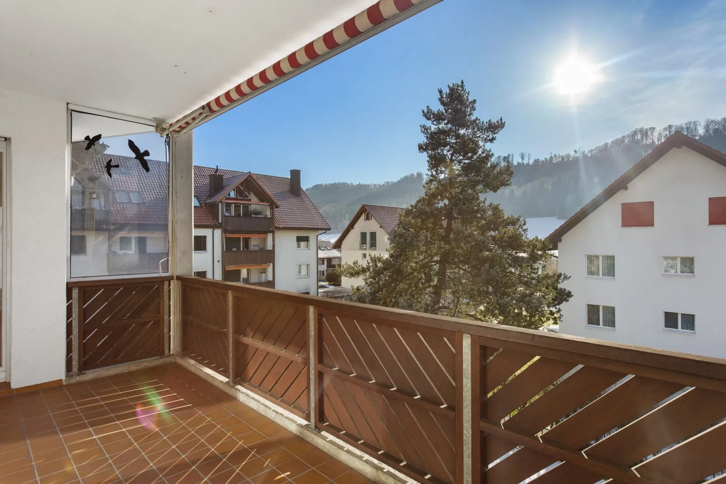 Sunny Times! - Photo 14 of 15