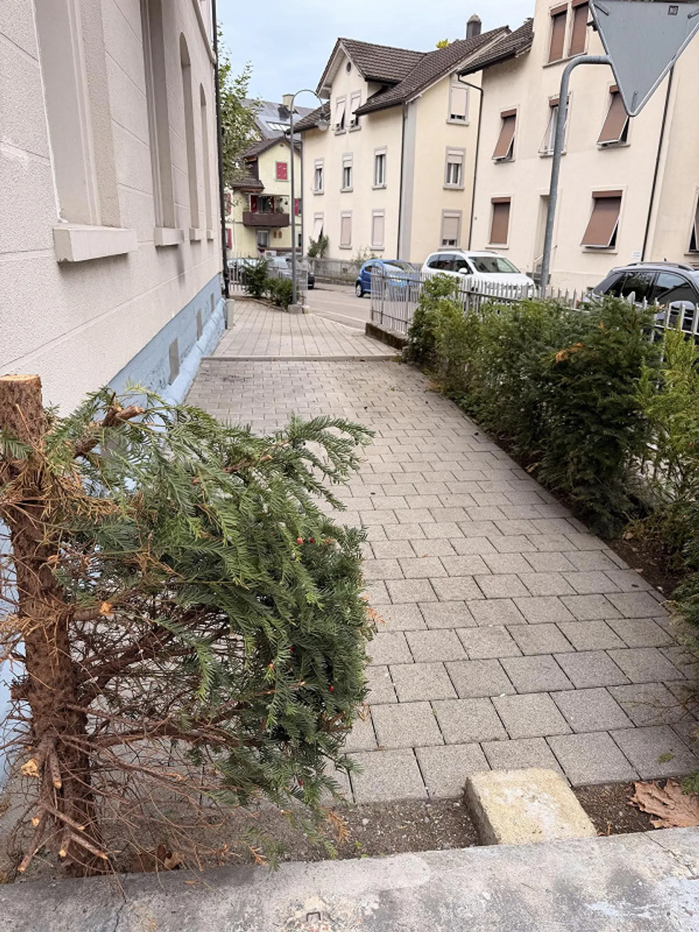 Moderne 3.5 Zimmerwohnung - Foto 9 von 9