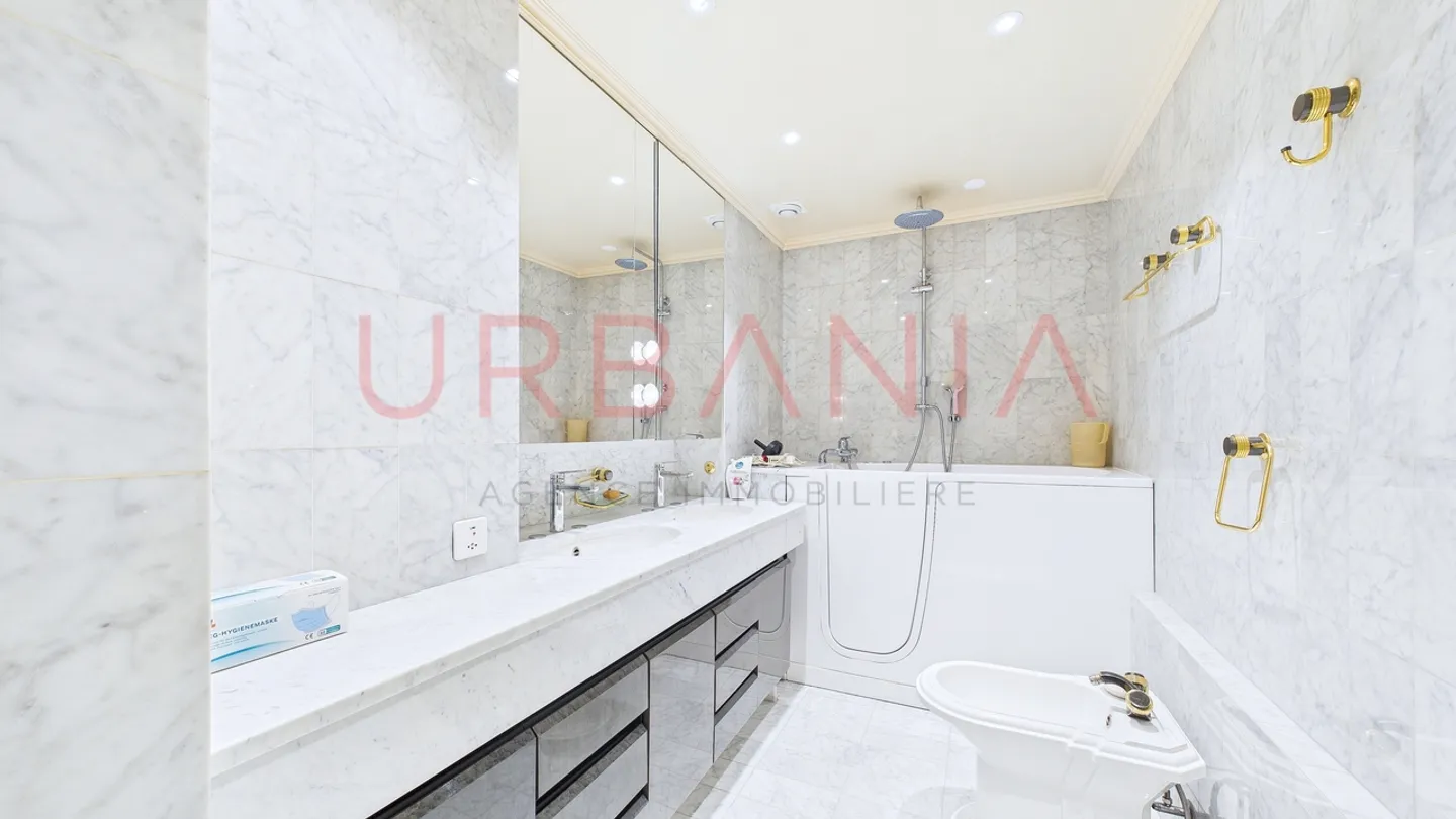 Large apartment to renovate in the heart of Florissant - Photo 9 of 9