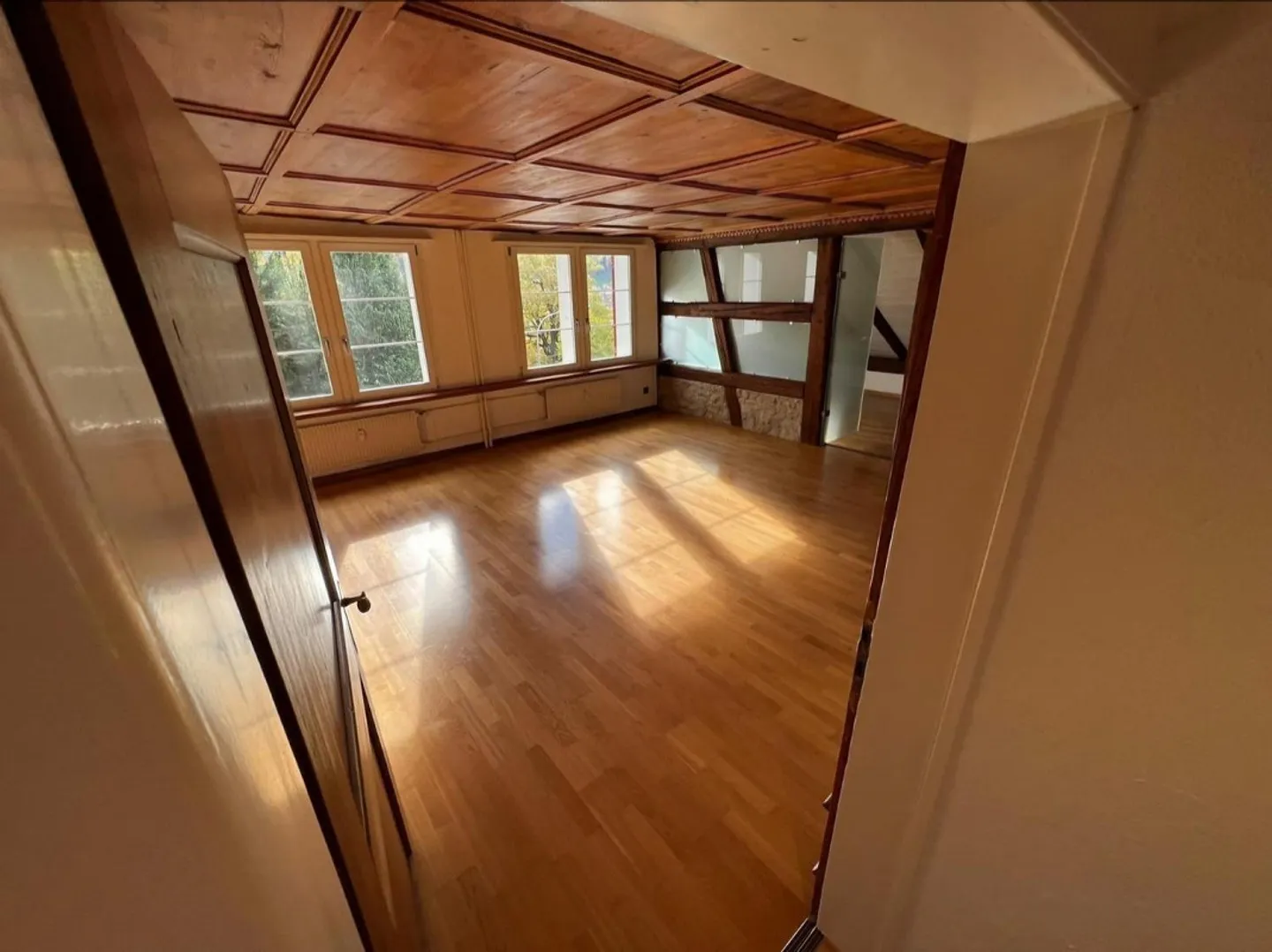 Appartamento 4.5 stanze centrale con giardino e vista - Foto 1 di 13