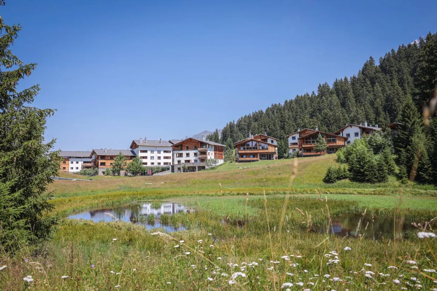Exclusive Apartments in the PRIVÀ Alpine Lodge Lenzerheide - Photo 1 of 7