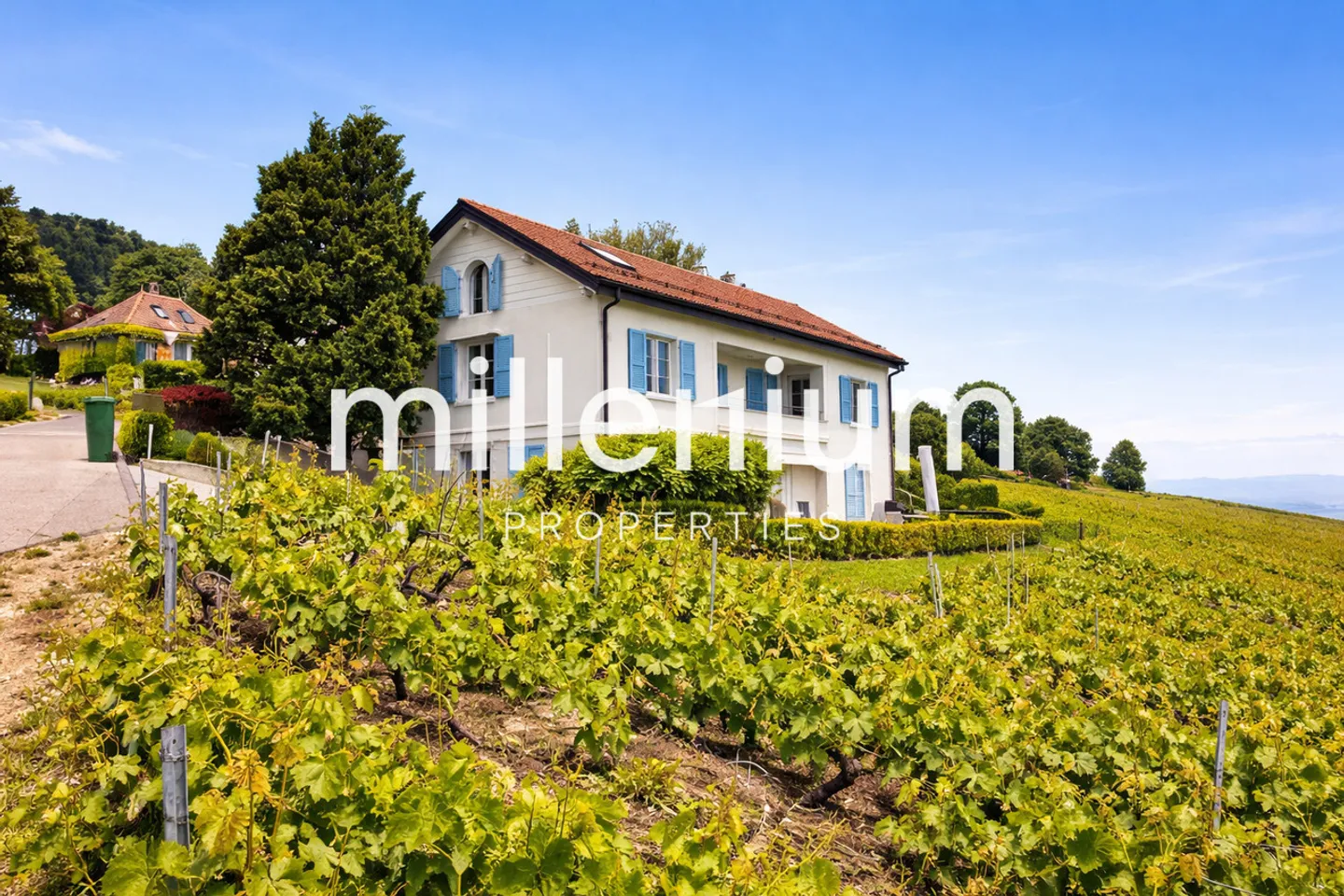Elegante Wohnung mit Terrasse - Foto 2 von 4