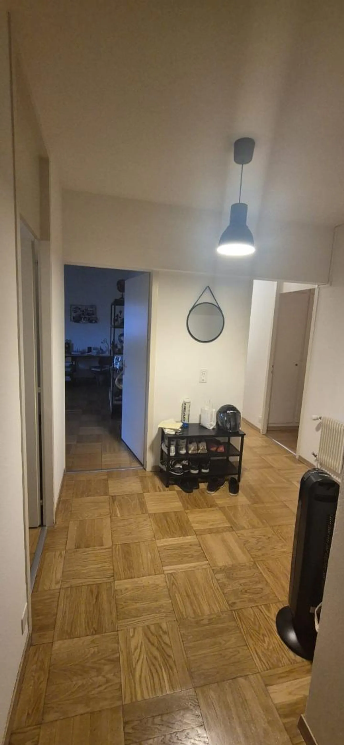 Magnifico appartamento di 4,5 locali con balcone a Chêne-Bougeries - Foto 3 di 5