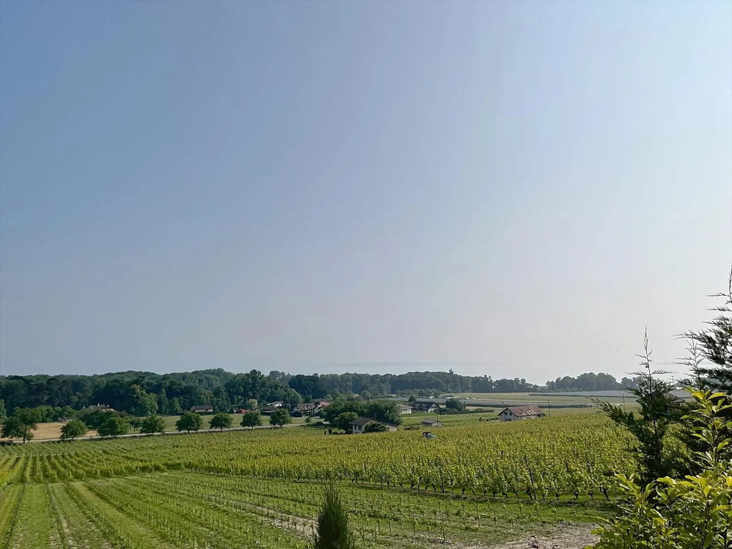 Esclusivo: Bella Villa nel Cuore dei Vigneti - Foto 13 di 13